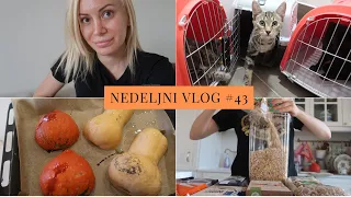 BAS VAZNA NEDELJA I NEDELJNI VLOG #43