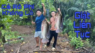 Câu Cá Rô Phi Ở Ao Hoang Nhiều Năm Và Cái Kết Giật Cần Liên Tục #hagtags  #mientay  #fishing  #7