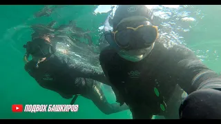 Подводная охота с Женой. Обучение для начинающих / Spearfishing with my Wife. Training for beginners