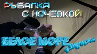 Рыбалка с ночёвкой # Белое море # д.Пурнема 25.01.2020г