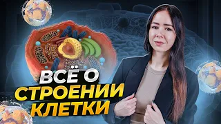 Строение клетки для ЕГЭ за 50 минут!