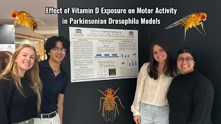 Effects of Vitamin D Exposure on Motor Activity in Parkinsonian Drosophila Models