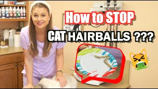 Hairball Control and Treatment for Cats! Plus what Supplements to give!? MUST WATCH!!!