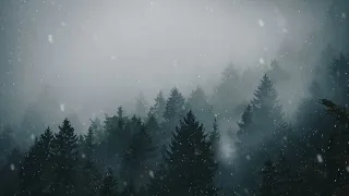 winter forest snow 4k live wallpaper