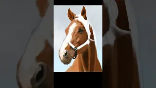 Painting Horse Head | Krita #shorts #horse #digitalart #portrait #krita