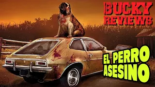 CUJO (1983) | EL PERRO ASESINO POR EXCELENCIA