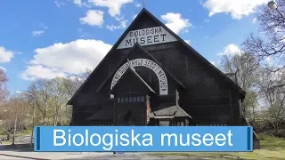 Biologiska museet i Stockholm