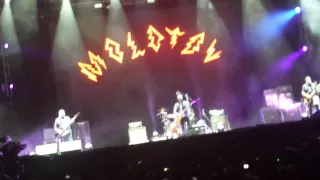 Que no te haga bobo Jacobo. Molotov. VL15