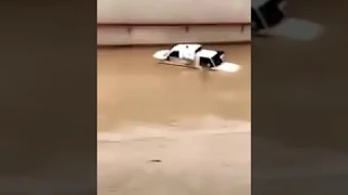 FLash Floods Compilation