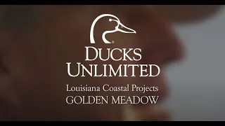 Lessons from Louisiana: Golden Meadow Marsh