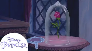 Cada narração de abertura das Princesas | Disney Princesa