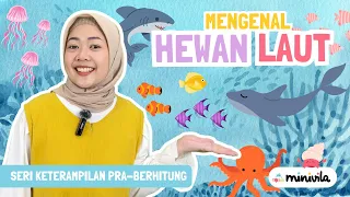 HEWAN LAUT | Belajar Angka dan Keterampilan Pra Berhitung