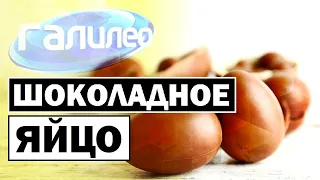 Галилео | Шоколадное яйцо 🍫🥚 [Chocolate egg]