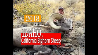 IDAHO: CALIFORNIA BIGHORN SHEEP HUNT- 2018