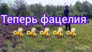 пашем, сеем 🐝продолжение 😃🤝🤝