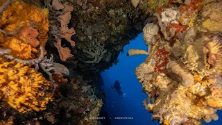 Best Alor SCUBA Diving 2023 - A Comprehensive Exploration