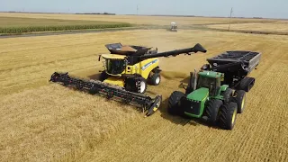 New Holland Manitoba Spring Wheat Harvest 2022
