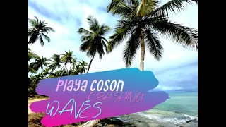 Follow us to Magnificent Beach PLAYA COSON. DOMINICAN REPUBLIC. Calming sounds of crashing waves.