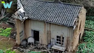 After overcoming a serious illness, the genius boy renovates the old house in the countryside