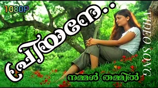 Priyane Urangiyille | Nammal Thammil | Malayalam Video Song| Prithviraj, Indrajith, Geethu mohandas