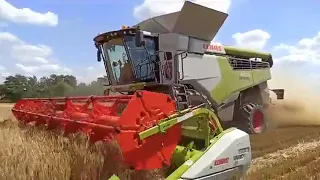 Claas Lexion 6800 w akcji - żniwa 2020 - 14.07.2020