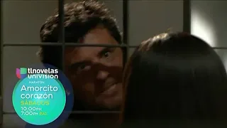 Maratón: Amorcito Corazón | Univision Tlnovelas