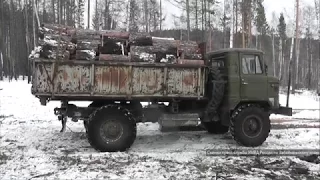 Оперативная съемка о раскрытии незаконной порубки леса