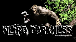 “True Bigfoot Stories – Some You’ve Heard, Others You May Never Have Heard!” #WeirdDarkness