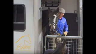 Equine Affaire Educational Program - Monty Roberts on Trailer Loading