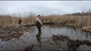 Чищу речку, строю дамбу. Бобры в шоке!