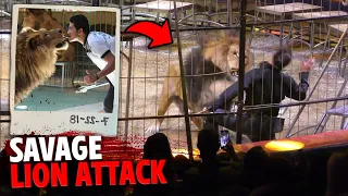 This Lion Tamer Was Fatally Mauled In Front of Audience!