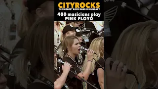 𝟰𝟬𝟬 𝗺𝘂𝘀𝗶𝗰𝗶𝗮𝗻𝘀 𝗽𝗹𝗮𝘆 𝗣𝗜𝗡𝗞 𝗙𝗟𝗢𝗬𝗗 (CityRocks - The biggest rock band in Hungary) #shorts