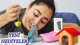 TOMBUL MUHABBET KUŞU PAŞA VE ARCASA YENİ HEDİYELER ALDIK