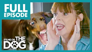 Dachshund Barks From 6AM and Terrorises Neighbours | Full Episode | It's Me or the Dog