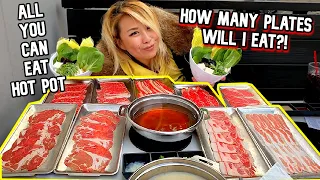HOW MANY MEAT PLATES WILL I EAT?! ALL YOU CAN EAT HOT POT at Broth Shabu in Cerritos!! #RainaisCrazy