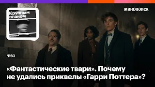 «Фантастические твари». Почему не удались приквелы «Гарри Поттера»?