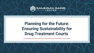 Drug Treatment Court Sustainability