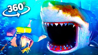 360 Video | Shark Encounter VR Experience