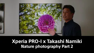 Xperia PRO-I  x Takashi Namiki – [Part 2] Nature photography