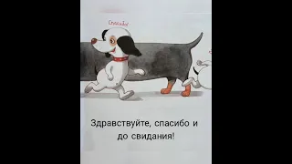 Умная собачка Соня. Здравствуйте, спасибо и досвидания!