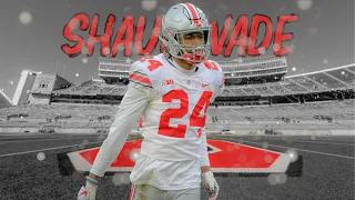 Shaun Wade Ohio State CB Career Highlights || Slot Lockdown 🔒