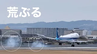 Soft Landing Itami Airport ● Close-up view of airplane landing scene [18th] on March 11, 2024