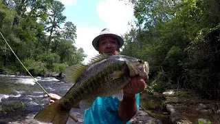 Bass Fishing In A Creek With The Real Swimbait