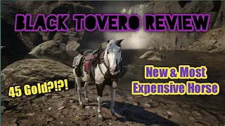 Black Tovero Horse Review in Red Dead Online