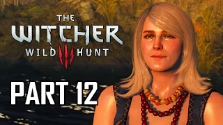 The Witcher 3: Wild Hunt Walkthrough Part 12 - A Towerful of Mice (PC Let's Play Commentary)