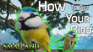 Smalland | How to get your Bird |