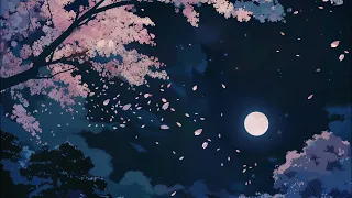 1 Hour of 夜の桜 | 밤의 벚꽃 | Night Cherry Blossoms