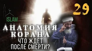 Хасан Али. Что ждет душу после смерти. Анатомия Корана #29 ислам!