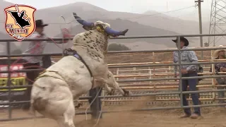 !!Retooo Gansito de Nayarit Vs Harley¡¡ Rancho La Furia en el Sherifs posse Grounds de Salinas CA