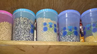 Tips & Tricks to store Pulses, Cereals & Spices in Hindi [with English Subtitle] | Anupama Jha